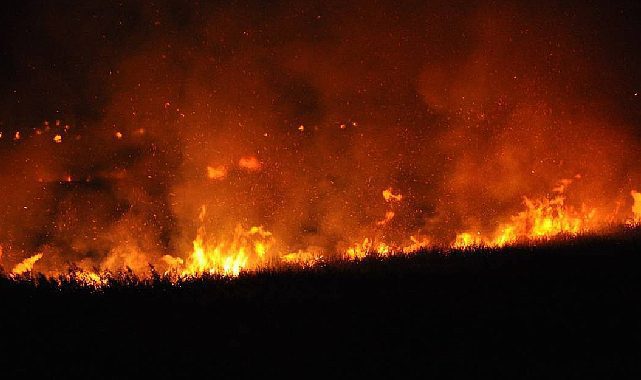 Mersin Göksu Deltası alevlere teslim! Bataklık nedeniyle müdahale edilemiyor