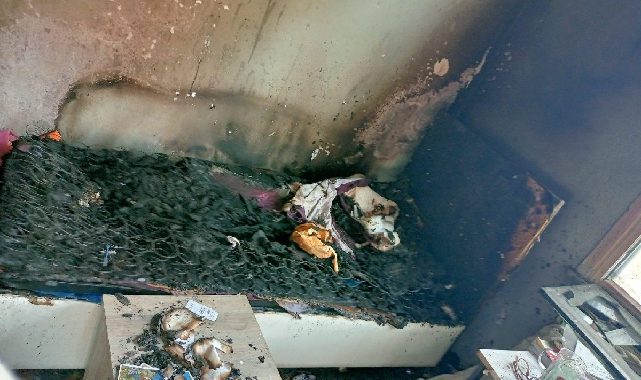 15 yaşındaki Büşra'yı işkence ederek öldürdü