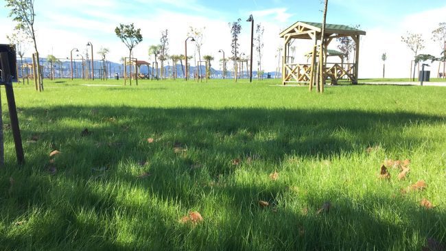 Ordu Büyükşehir Belediyesi Fatsa'da yaptığı Bolaman Park'ı kullanıma açtı