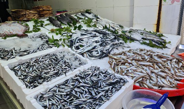 OBB balık tezgalarını denetliyor