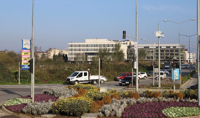 Ordu'da kış çiçekleri sokakları renklendiriyor