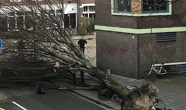 Almanya'yı kasırga vurdu! Onlarca ev yıkıldı