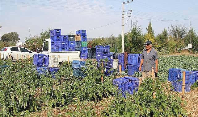 Antalya'da fırtına seralara zarar verdi.