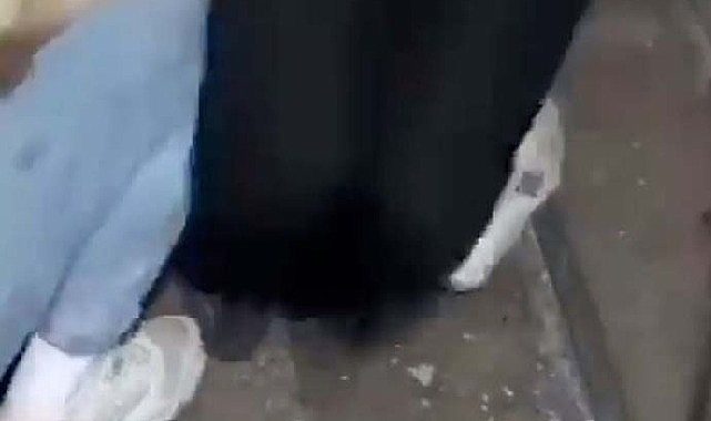 Askere gitmek istemeyen Ruslar bacaklarını kırıyor