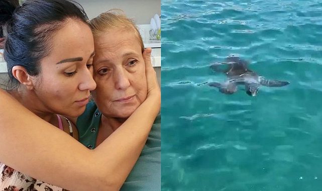 Caretta Carettalar saldırılara devam ediyor