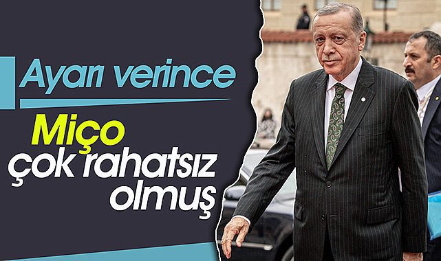 Cumhurbaşkanı Erdoğan ayarı verince, Miço çok rahatsız olmuş!