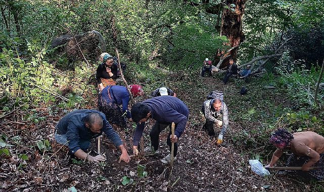Gümüşhane&#039;de 7 yıldır aranan kişinin kemikleri bulundu