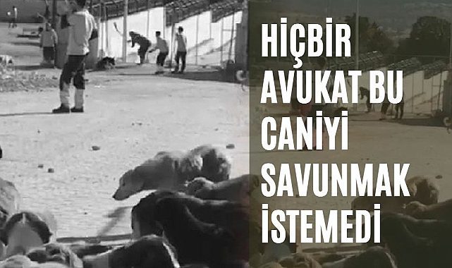 Hiçbir avukat bu caniyi savunmak istemedi