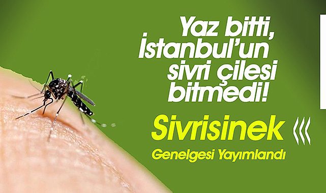 İstanbul'da sivrisinek istilası! Sağlık Bakanlığı genelge yayımladı
