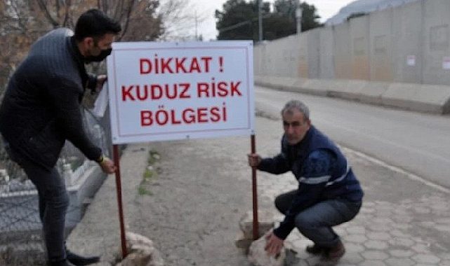 Kars&#039;ta kuduz alarmı! Bir köy karantinada