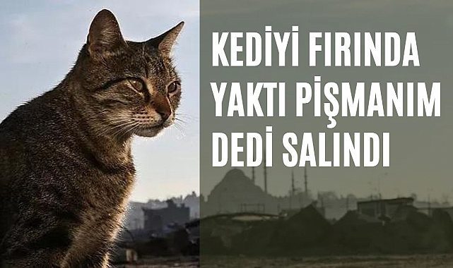 Kediyi fırında yaktı &quot;pişmanım&quot; dedi salındı