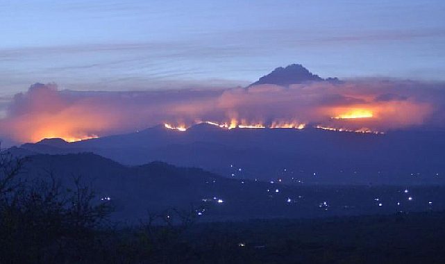 Kilimanjaro Dağı alev alev! Ordu devreye girdi