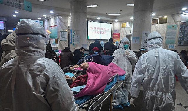 Kolombiya'da salgın! Cehennem köpeğine dikkat