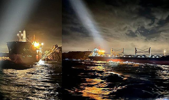 Marmara Denizi'nde tahıl gemisi karaya oturdu
