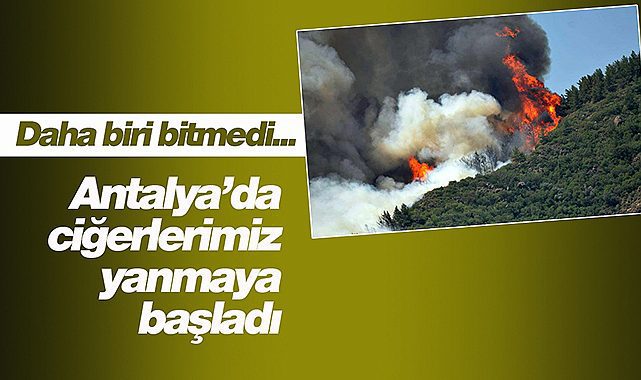 Antalya'da yangın yeniden başladı! Uçaklarla müdahale ediliyor