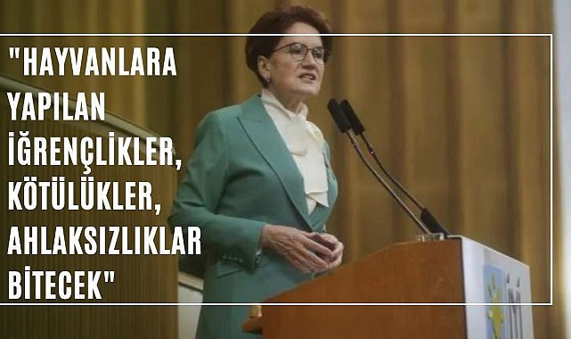 Meral Akşener: Hayvanlara yapılan iğrençlikler, ahlaksızlıklar,kötülükler bitecek