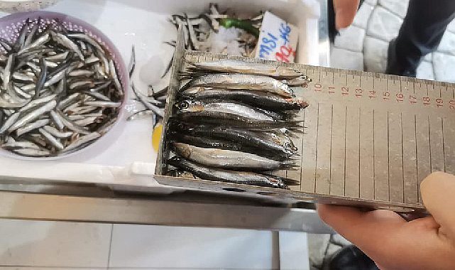 OBB balık tezgalarını denetliyor