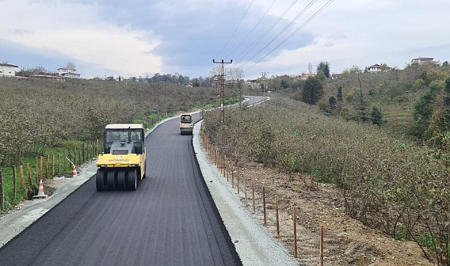 Ordu BŞB Altınordu'nun sorunlarını çözüyor