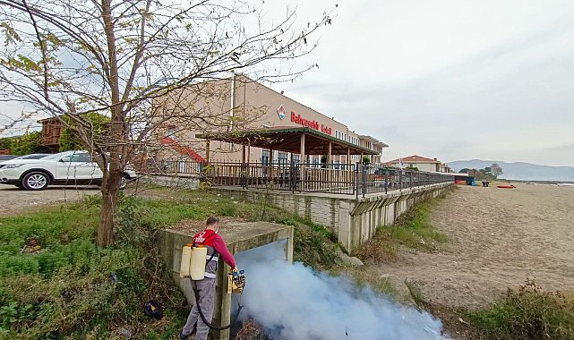 Ordu'da vektörle mücadelede kış dönemi başladı