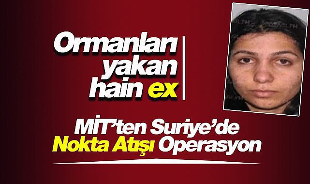 Orman yangını eylemlerinden sorumlu hain paket!