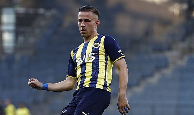 Pelkas Hull City yolcusu