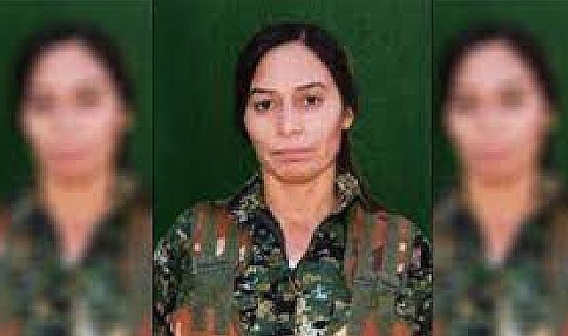 PKK'nın sözde Ayn İsa eyalet sorumlusu etkisiz