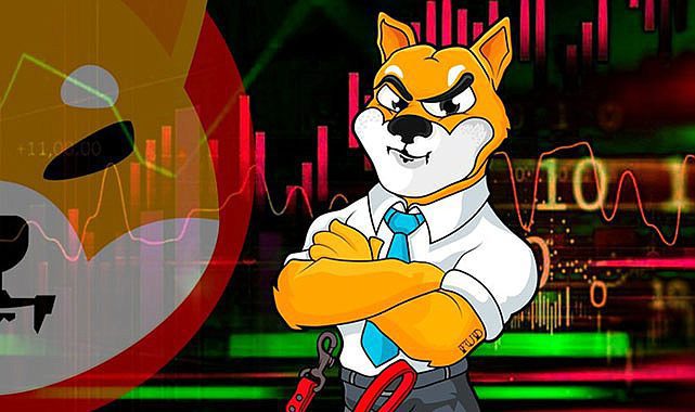 Shiba INU (SHIB) coin Balina yatağı oldu, dolar yağdı! SHIBUSDT yüzde 30 sıçradı...
