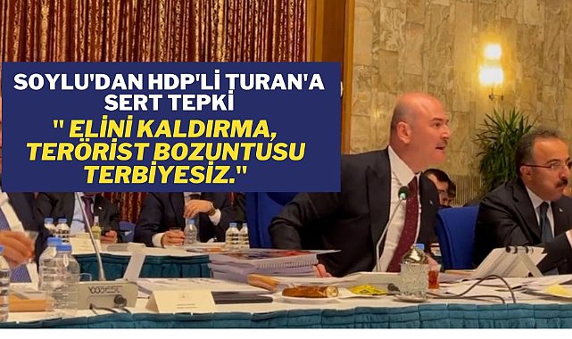 Süleyman Soylu'dan HDP'li RıdvanTuran'a sert tepki