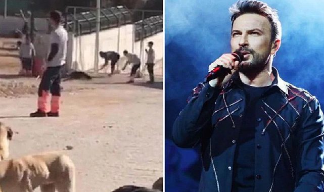 Tarkan "Yetkililer üç maymunu oynuyor"