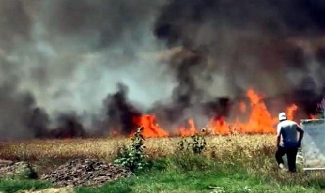 Tekirdağ'da yangın 700 dönüm alanı yok etti
