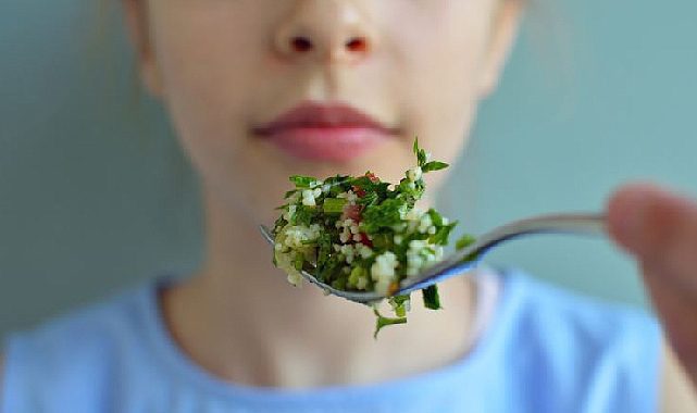 Vegan üniversite öğrencisi için Kamu Denetçiliği Kurumu devreye girdi