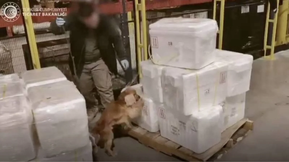 İstanbul Havalimanı'nda yarım ton kokain yakalandı