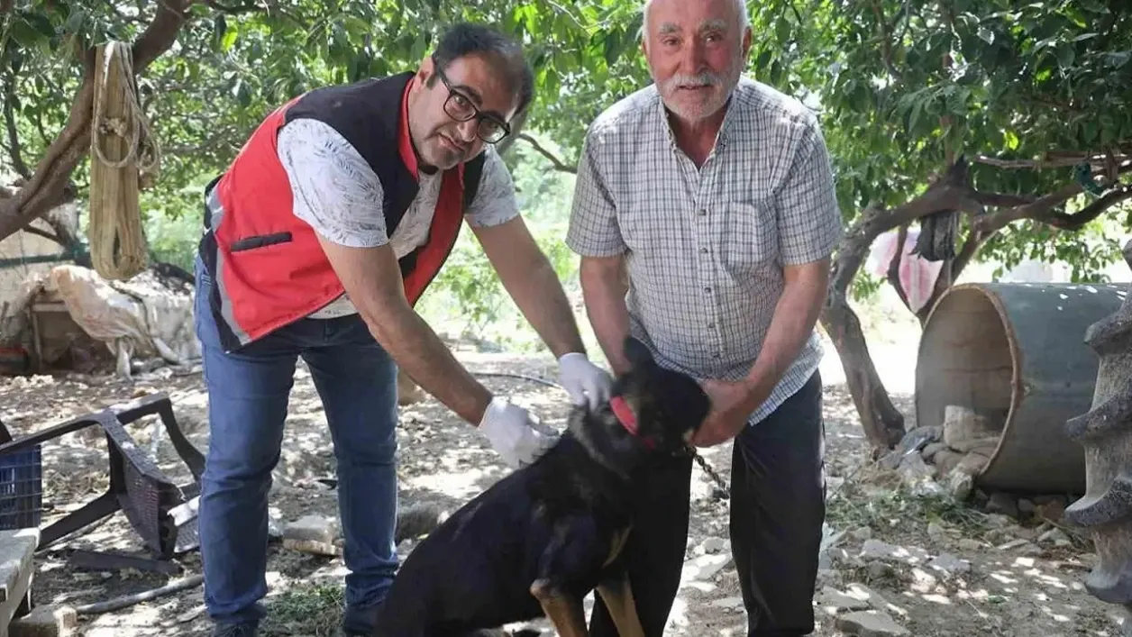 Hatay’da kuduz alarmı: Samandağ’da dört mahalle karantinada