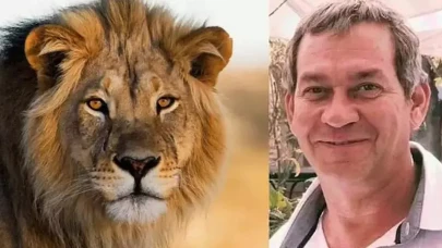 Alman safari meraklısı Namibya’da aslan saldırısında öldü