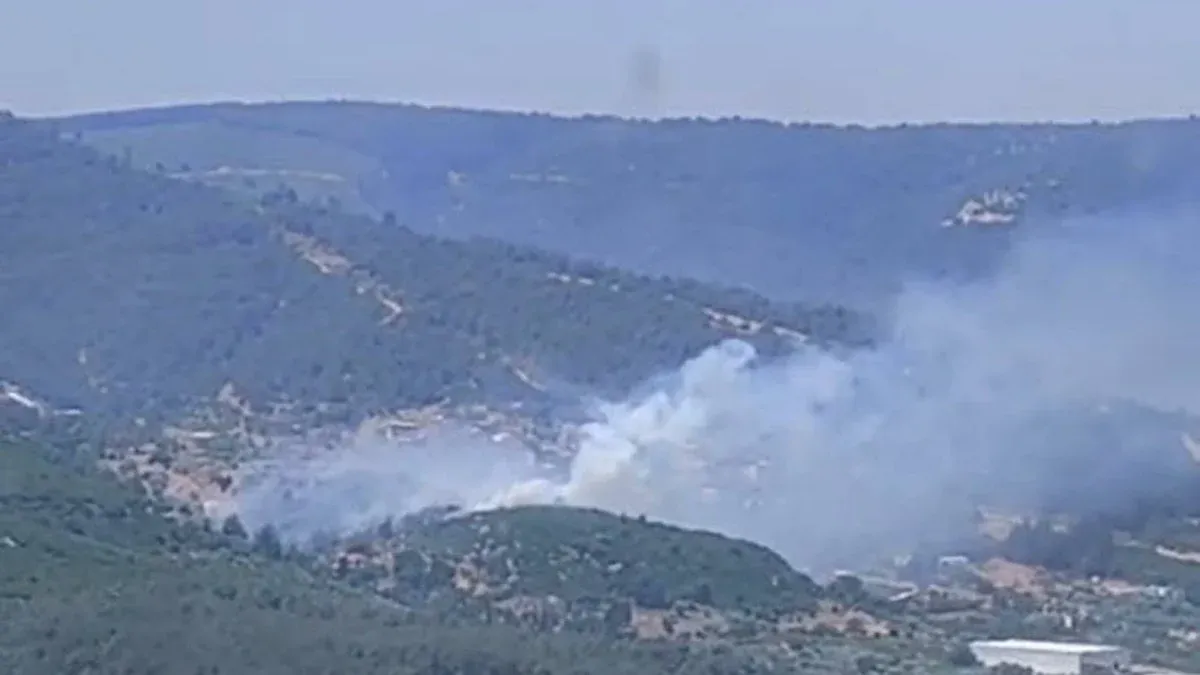 İzmir’in yeşili alevlere teslim: Kemalpaşa Kızılüzüm’de orman yangını