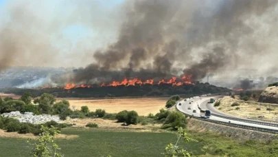 Ormanlarımız yanıyor... Tam 7 şehirde birden