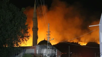 Hatay Dörtyol’da orman yangını hala devam ediyor