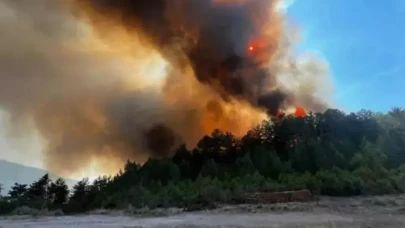 Alevlerle zamana karşı yarış... Sındırgı’da havadan ve karadan müdahale