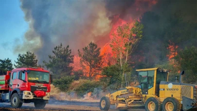 Edirne Keşan'da korkutan orman yangını