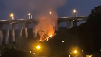 Türkiye alevlerle boğuşuyor... Beykoz’da yangın başladı