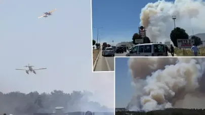Çanakkale’de orman yangını: Boğaz ve karayolu trafiğe kapatıldı