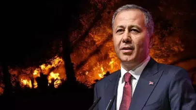 Çanakkale’de orman yangını... Yerlikaya: 348 kişi Sahil Güvenlik tarafından kurtarıldı