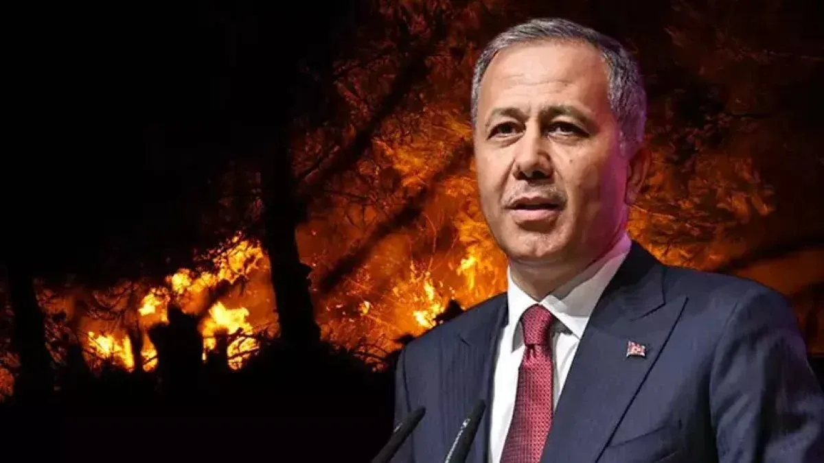 Çanakkale’de orman yangını... Yerlikaya: 348 kişi Sahil Güvenlik tarafından kurtarıldı