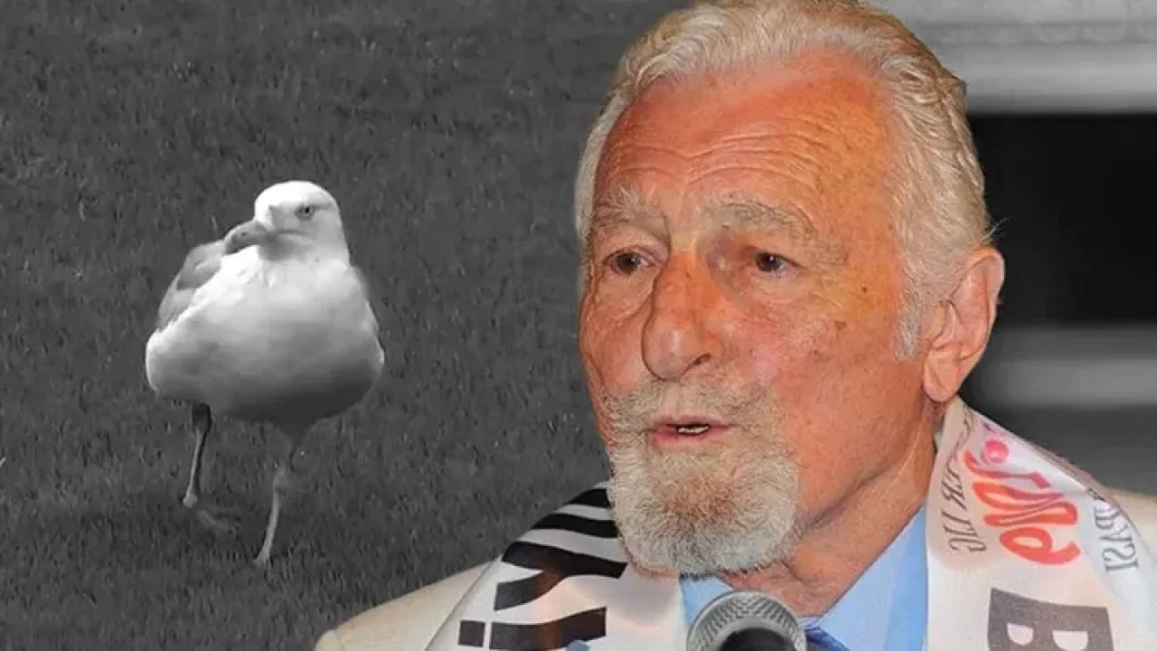 Dolmabahçe&#039;de martı sürprizi ve Seba&#039;nın sözleri