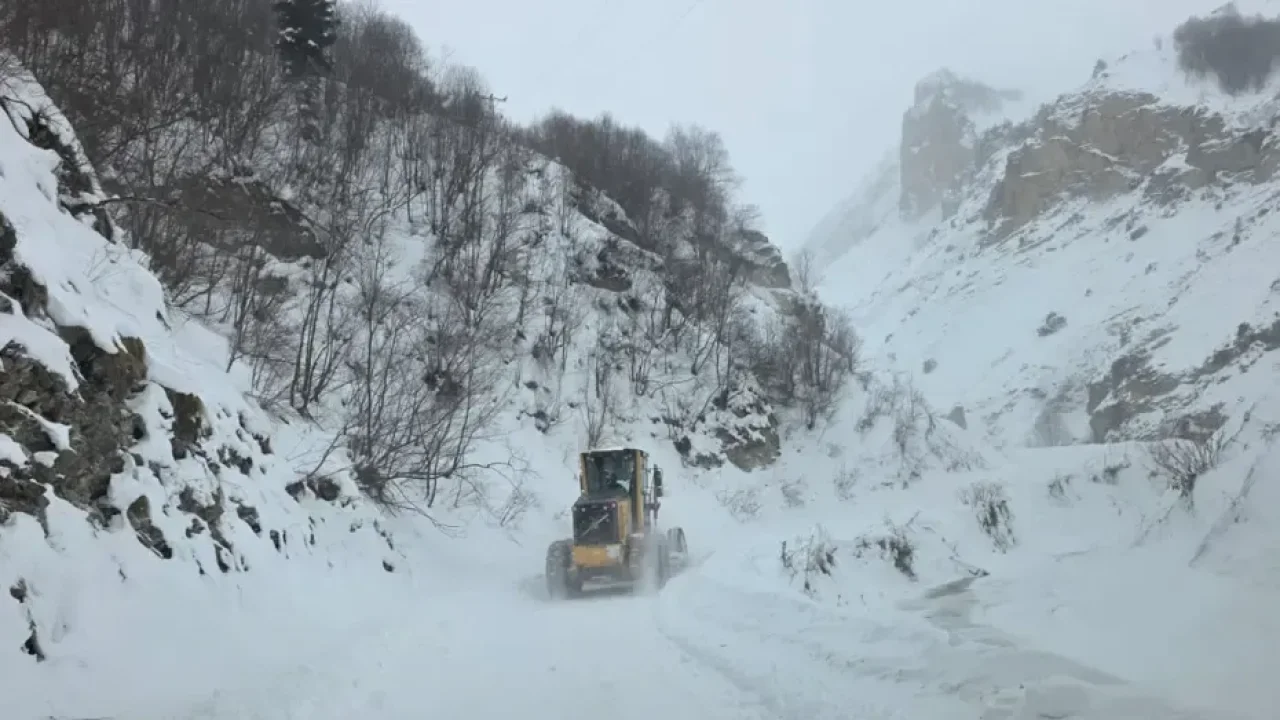 Artvin'de çığ düştü! Ardanuç yaylalarında mahsur kalan çobanlar için arama-kurtarma çalışması başlatıldı