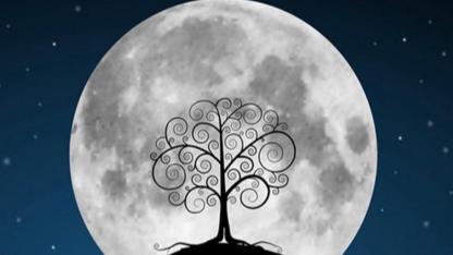 Rüya yorumları: Rüyada altın bilezik takmak ya da bankta oturmak