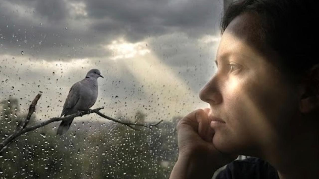 Rüyada gri bir kuş görmek ya da kar yemek ne anlama gelir?