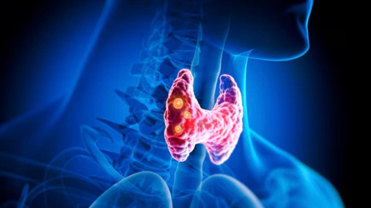 Tiroid: Vücudunuzun sessiz orkestra şefi (ama şefi kim yönetiyor?)