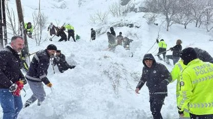 Van'da koca mahalleyi çığ yuttu