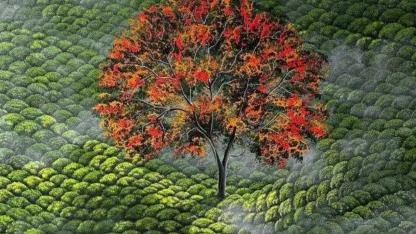 Rosse Arte'nin ilk sergisi "Bu işte bir yalnızlık var" sanatseverlerle buluşuyor!